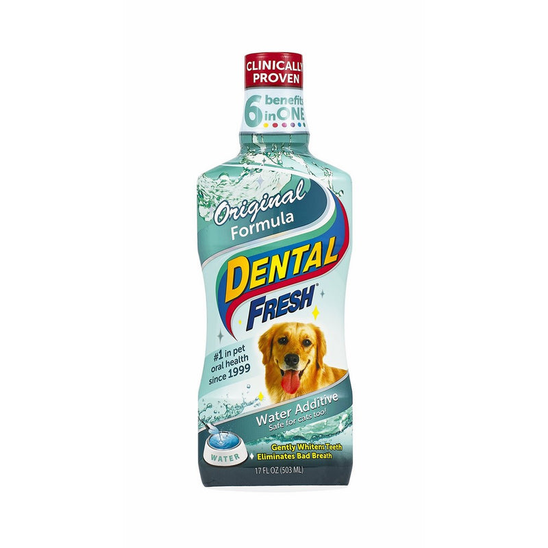 SynergyLabs Dental Fresh Original Formula, 17 ounces