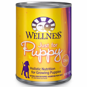 Wellness Complete Health Natural Wet Canned Puppy Food, Chicken & Salmon, 12.5-Ounce Can (Pack of 12)