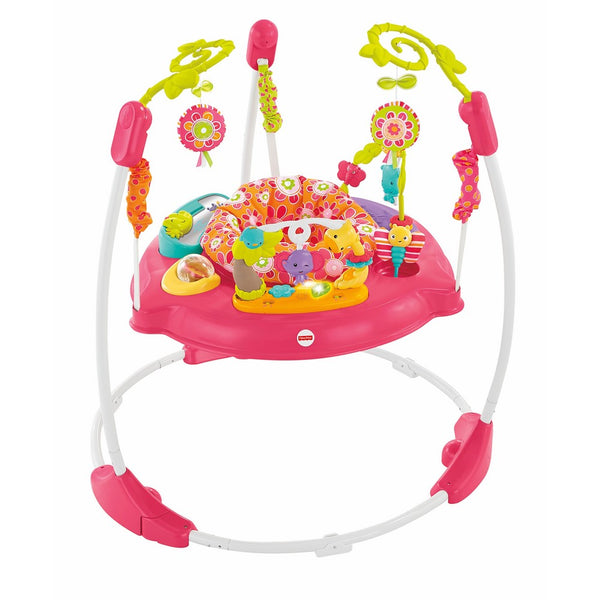 Fisher-Price Pink Petals Jumperoo