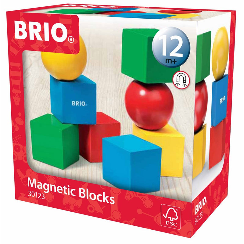 Brio Magnetic Blocks