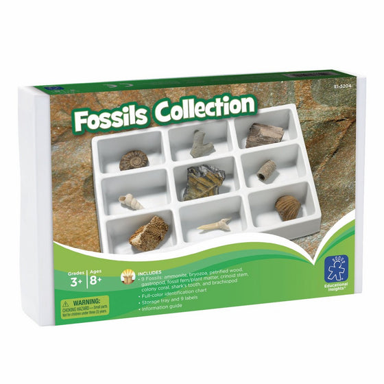 Educational Insights Fossil Collection