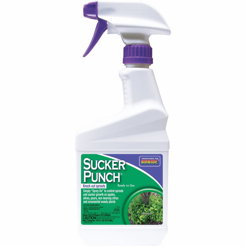 Bonide 2761 RTU Sucker Punch, 16 oz