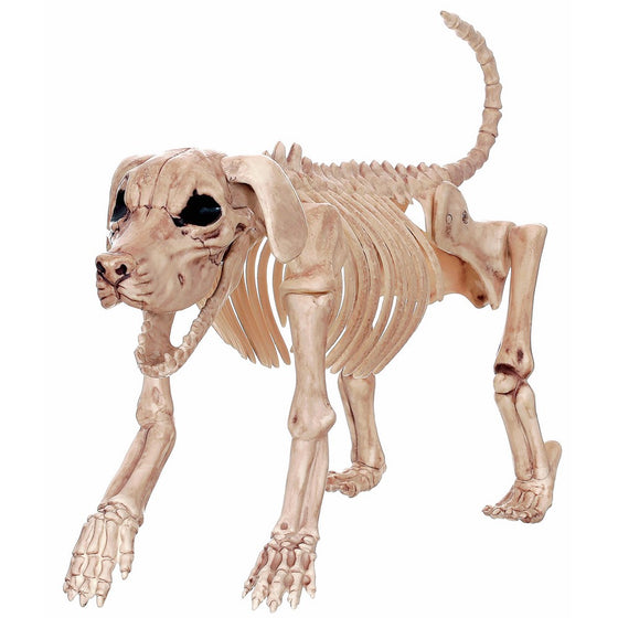 Crazy Bonez Skeleton Dog - Beagle Bonez