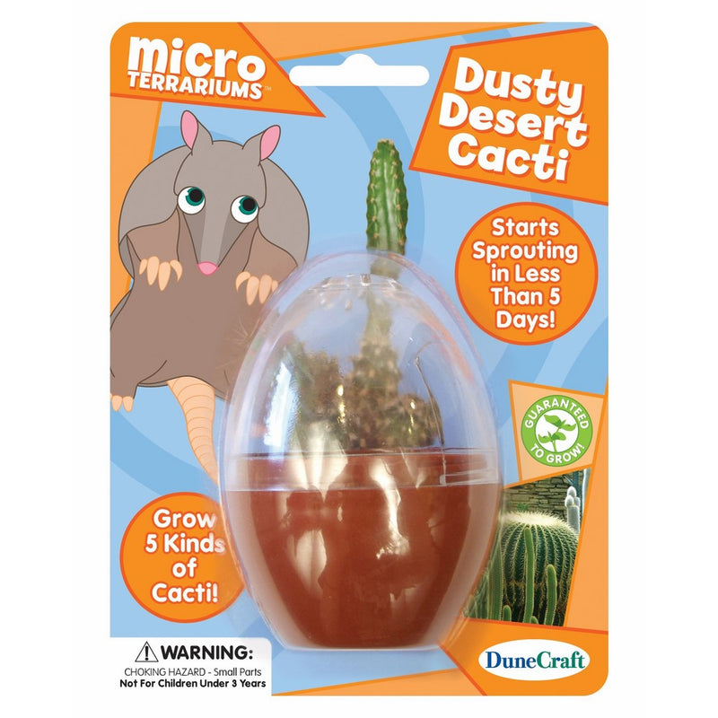 Dunecraft Dusty Desert Cacti Science Kit