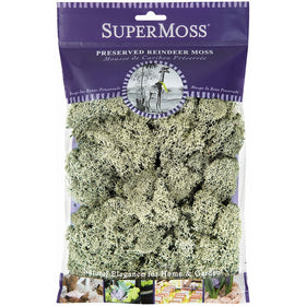 Super Moss (25116) Reindeer Moss Preserved, Moss Green, 2oz