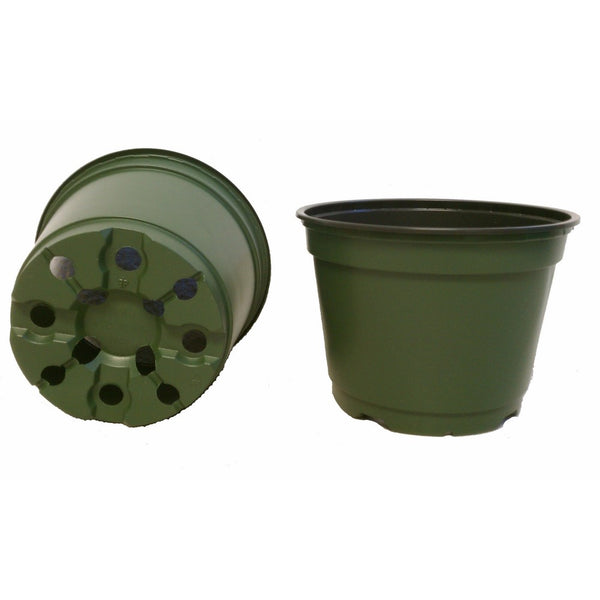 100 NEW 6 Inch TEKU Plastic Nursery Pots - Azalea StylePots ARE 6 Inch Round At the Top and 4.25 Inch Deep.