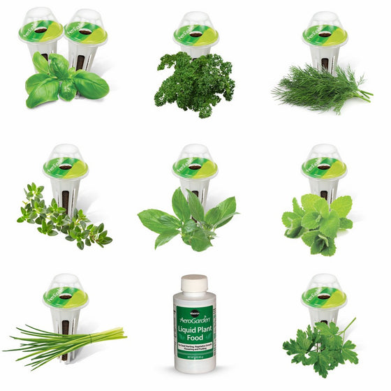 AeroGarden Gourmet Herb Seed Pod Kit (9-Pod)