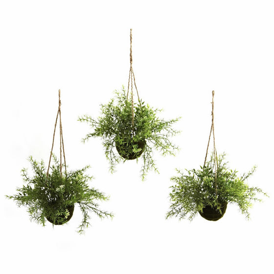 Nearly Natural 6742-S3 Ruscus Sedum Springeri Hanging Basket, Green, Set of 3