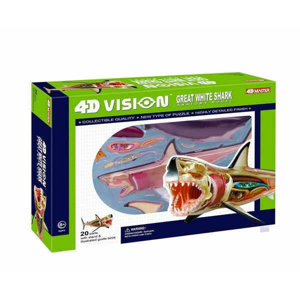 4D Vision Great White Shark Anatomy Model