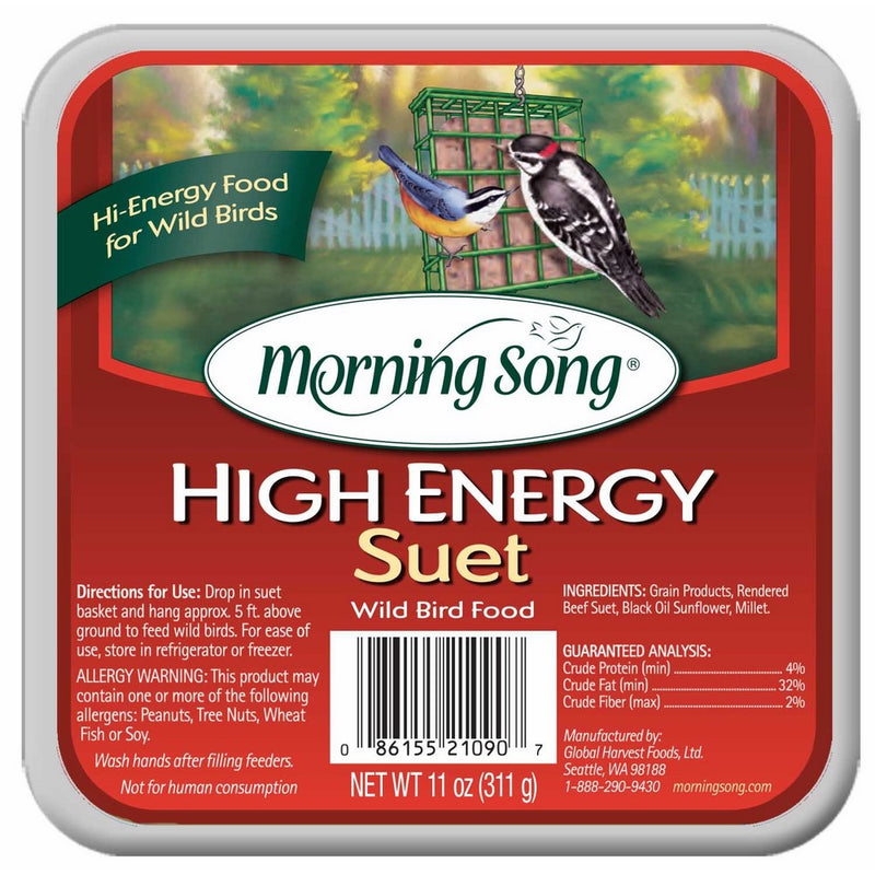 Morning Song 11433 High Energy Suet Wild Bird Food, 11-Ounce