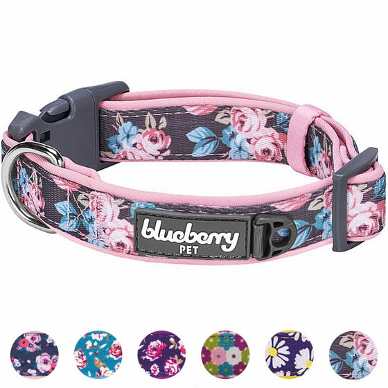 Blueberry Pet 6 Patterns Soft & Comfy Welcoming Spring Rose Flower Prints Girly Padded Dog Collar, Small, Neck 12"-16", Adjustable Collars for Dogs