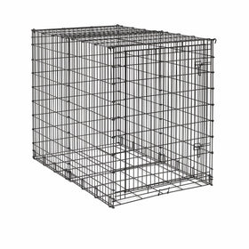 MidWest 54-By-35-By-45-Inch Single-Door Starter Series Pet Crate