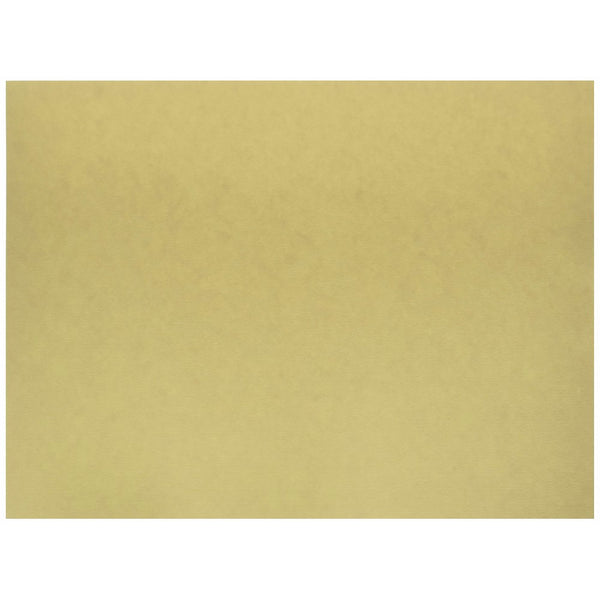 Pacon Medium Weight Tagboard, 9 x 12 Inches, Manila, 100 Sheets (5181)