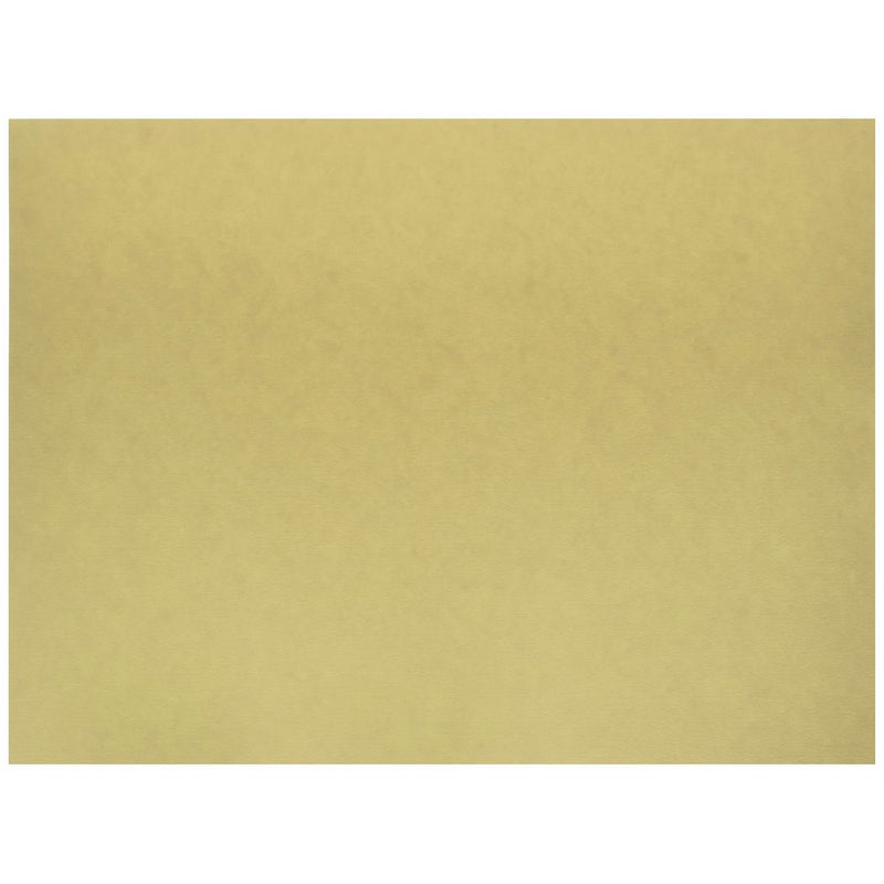 Pacon Medium Weight Tagboard, 9 x 12 Inches, Manila, 100 Sheets (5181)