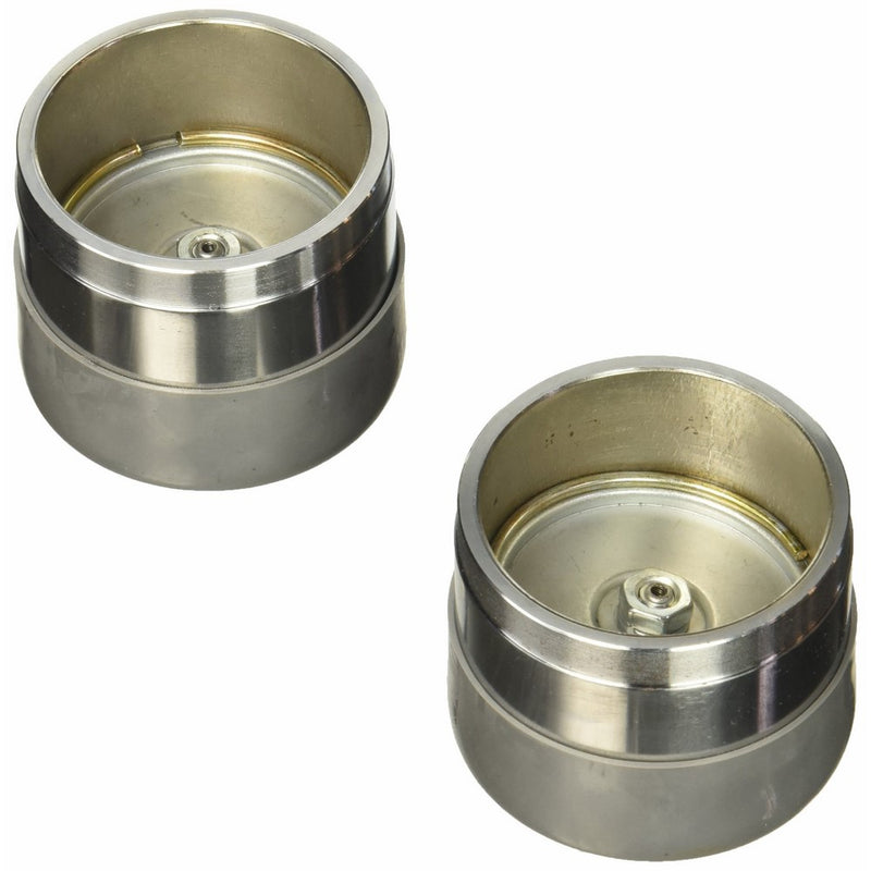 Bulldog BP244S0604 Bearing Protector