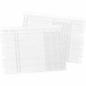 WLJN1D - Wilson Jones Balance Ledger Columnar Sheet