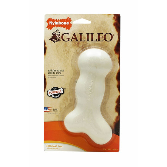 Nylabone Galileo Souper Original Flavored Dog Chew Toy