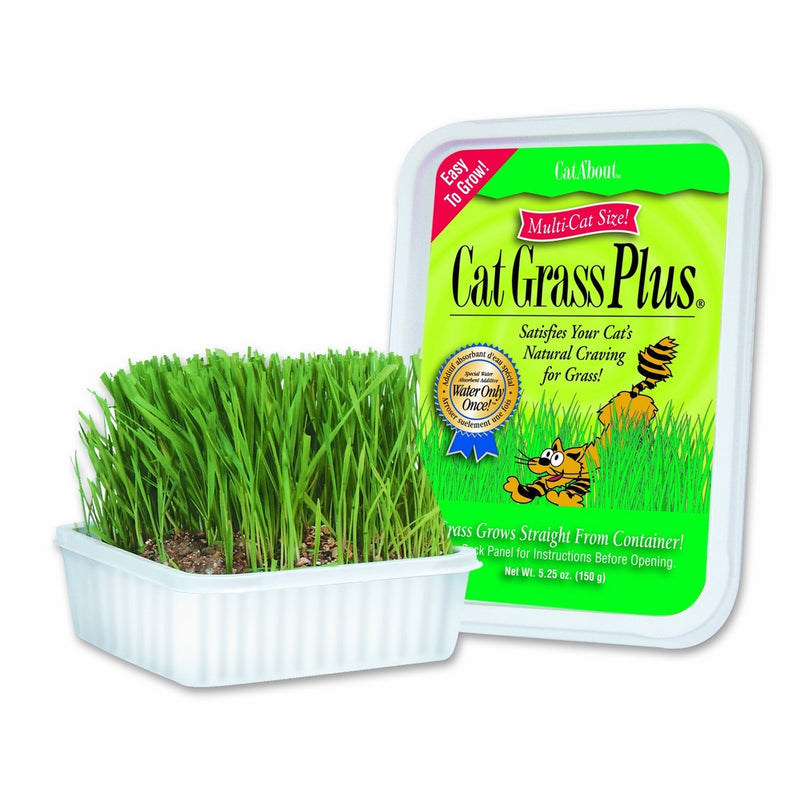 Cat-A'bout Multi-Cat CatGrass Plus Tub 150 grams by MiracleCorp/Gimborn