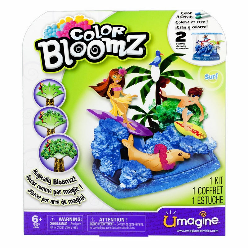 Color Bloomz - Surf Activity Kit