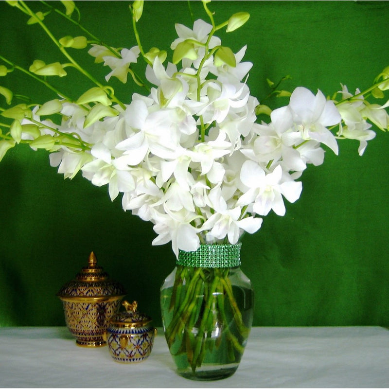 Fresh Flowers - 20 Just Orchids White Dendrobium with Vase