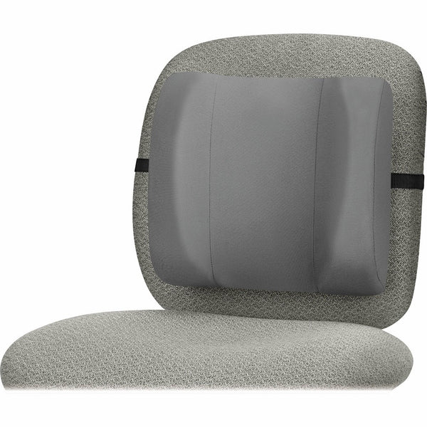 Fellowes 91926 High-Profile Backrest with Soft Brushed Cover, 13w x 4d x 12-5/8h, Graphite