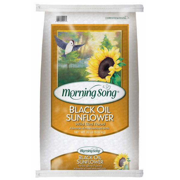 Morning Song 11407 Black Oil Sunflower Wild Bird Food, 20-Pound