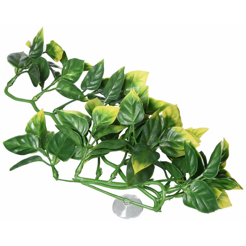 Exo Terra Plastic Terrarium Plant, Small, Amapallo