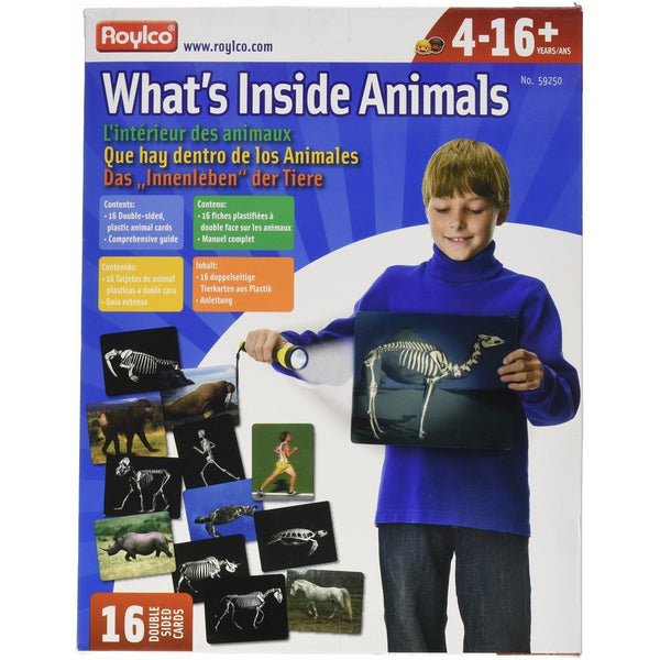 Roylco Whats Inside Animals Flash Cards