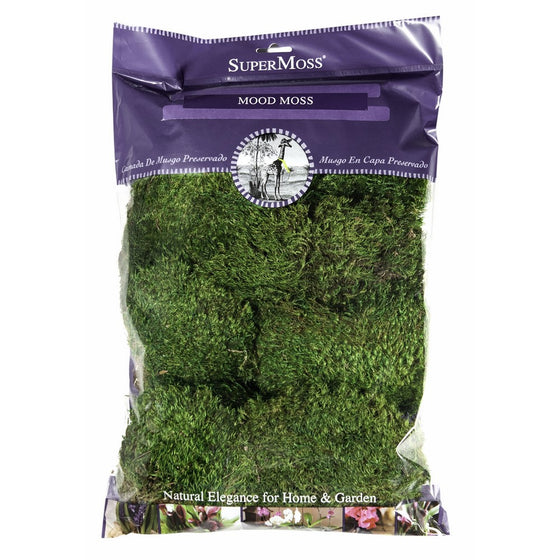 Super Moss 21539 Preserved Mood Moss, Natural Green, 8-Ounce