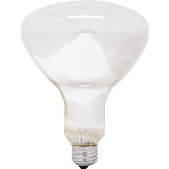 GE Lighting 14016 65-Watt 580-Lumen BR40 Soft White Flood Light Bulb, 1-Pack