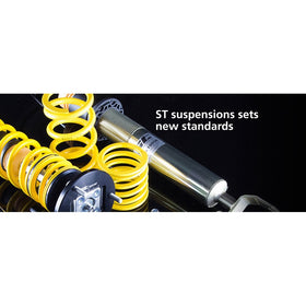 ST Suspensions 51061 Rear Anti-Sway Bar