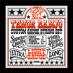 Ernie Ball Tenor Banjo Light Stainless Steel Loop End Set, .009 - .028