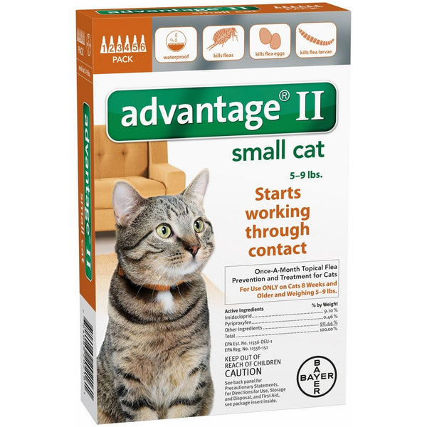 Advantage II Small Cat 6-Pack