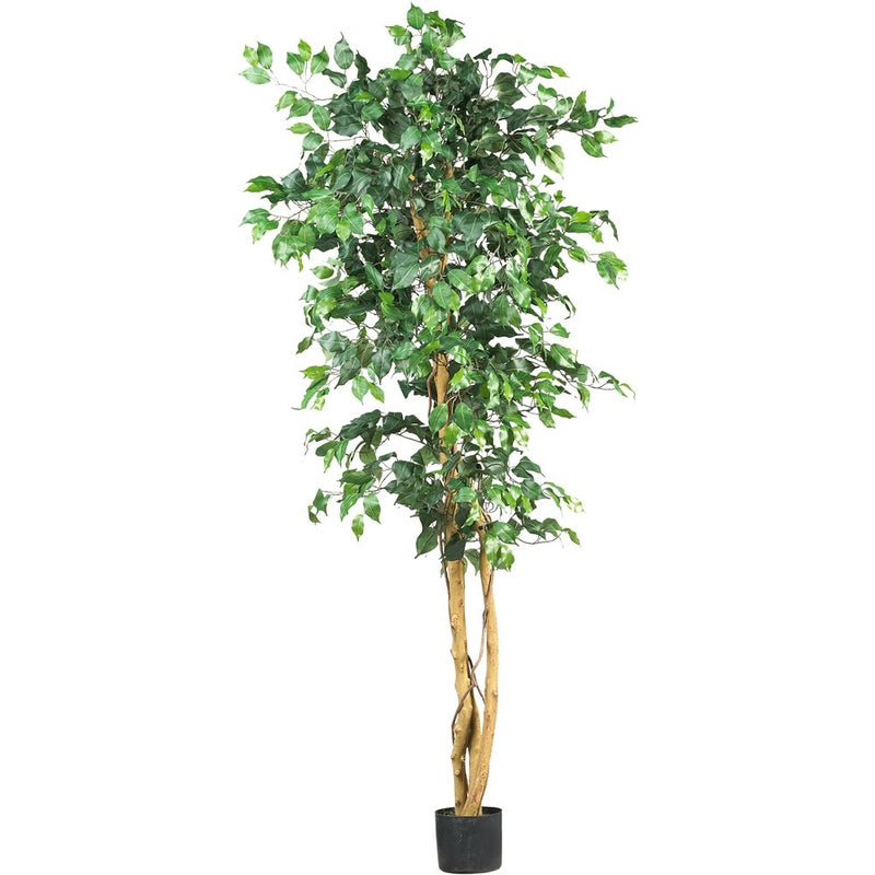 Nearly Natural 5209 Ficus Silk Tree, 6-Feet, Green