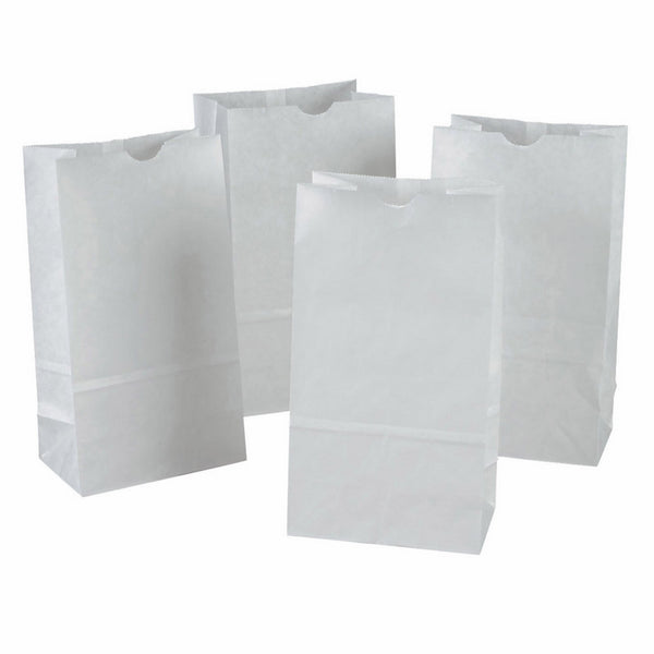 Pacon Kraft Bags, 6”x3-5/8”x11”, White, 100 bags/pack, (72020)