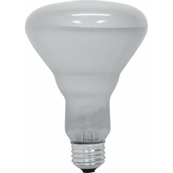 GE Lighting 26804 45-Watt Soft White Long Life Flood R30 Light Bulb