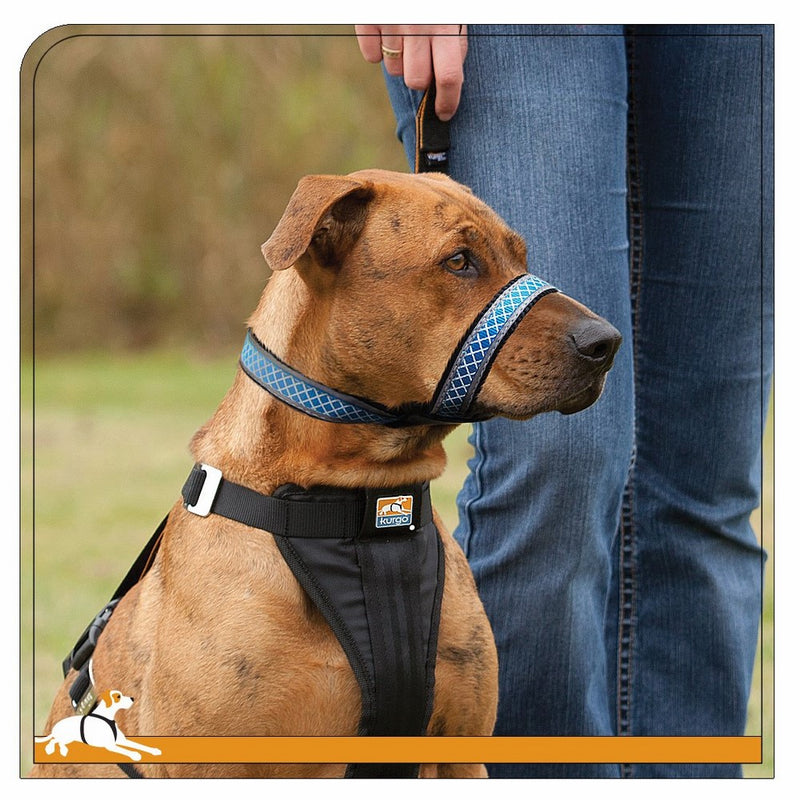 Kurgo Snout About Strap Dog Head Collar & No Pull Training Collar - Reflective Trim, Rasberry, Medium