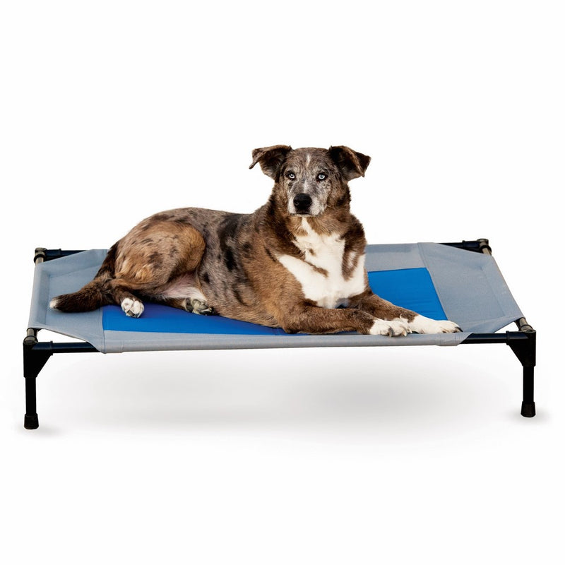 K&H Pet Products Coolin' Pet Cot Elevated Pet Bed Large Gray/Blue 30" x 42" x 7"
