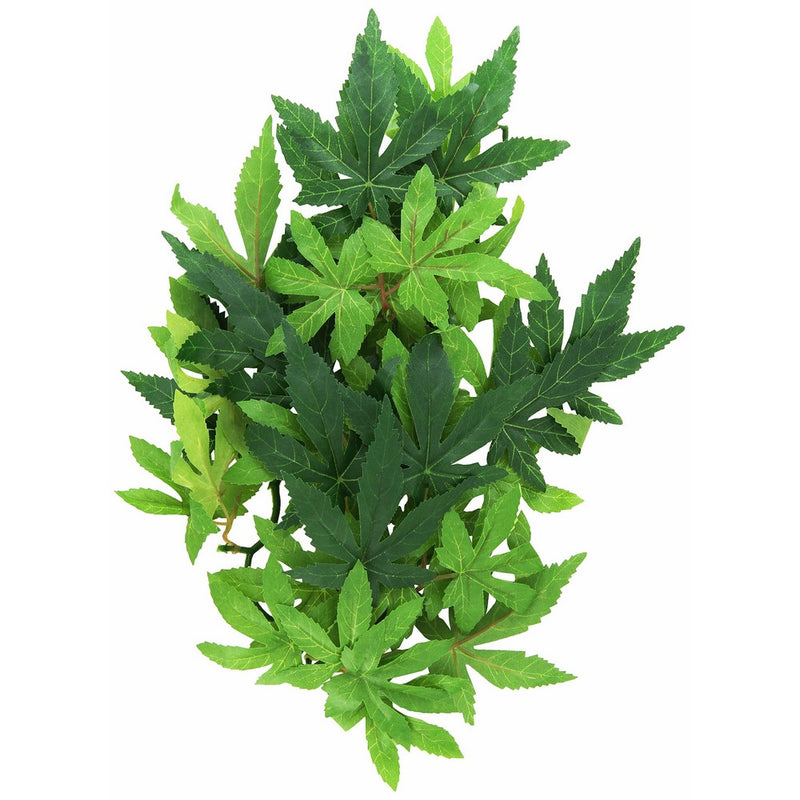 Exo Terra Silk Terrarium Plant, Medium, Abutilon