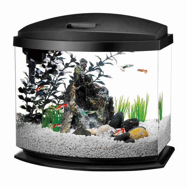 Aqueon MiniBow LED Kit, 5 Gallon, Black
