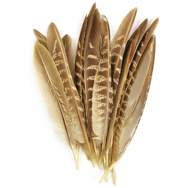 Touch of Nature 38192 Pheasant Wing Quill, 7-Inch