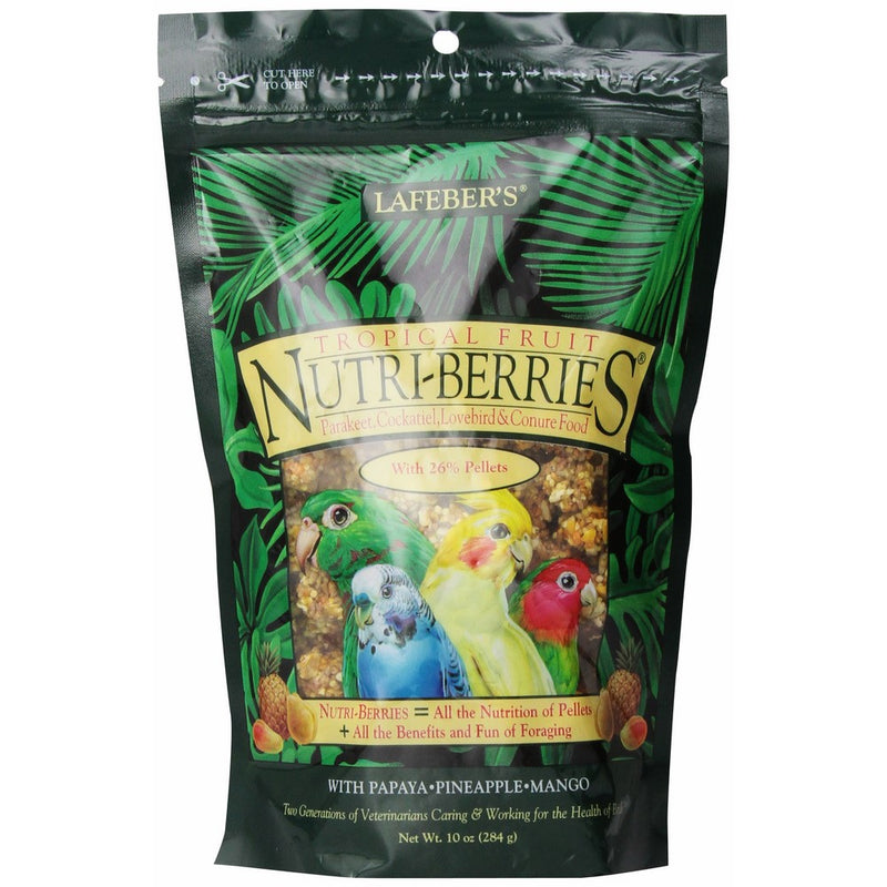 Lafeber's Gourmet Tropical Fruit Nutri-Berries for Cockatiels 10 oz Bag