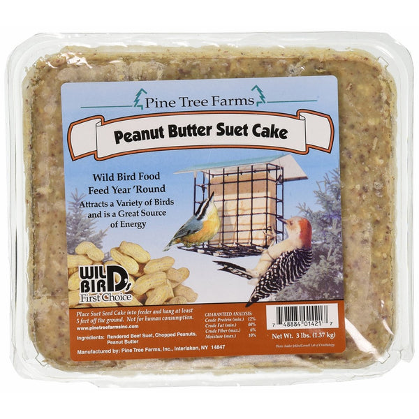 Pine Tree 1421 Peanut Butter Wild Bird Suet Cake, 3-Pound