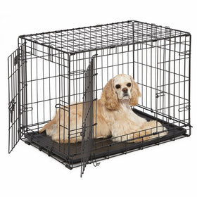 Dog Crate | MidWest iCrate 30" Double Door Folding Metal Dog Crate w/ Divider Panel, Floor Protecting Feet & Leak-Proof Dog Tray | 30L x 19W x 21H Inches, Medium Dog Breed, Black