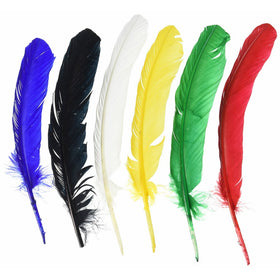Turkey Quills 6/Pkg (Assorted colors)