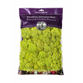 Super Moss 21669 Reindeer Moss Preserved, Chartreuse, 8oz (200 cubic inch)