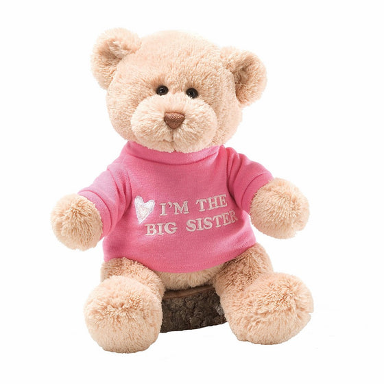 GUND I'm the Big Sister T-Shirt Teddy Bear Stuffed Animal Plush, Pink, 12”