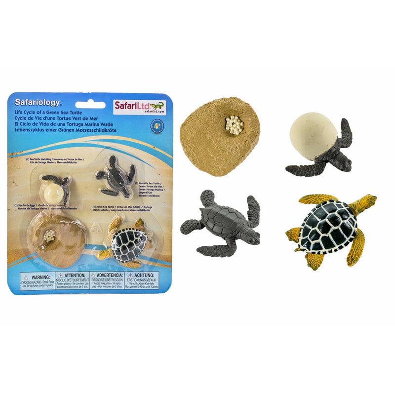 Safari Ltd Life Cycle of a Green Sea Turtle