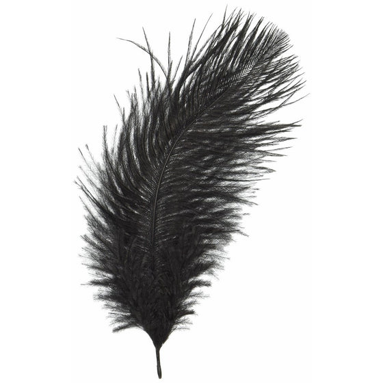 Zucker B802-B Ostrich Feathers 2/Pkg-Black