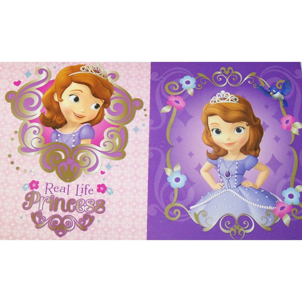 Disney Sofia the First Folder 2 PackReal Life Princess, Princess From Within